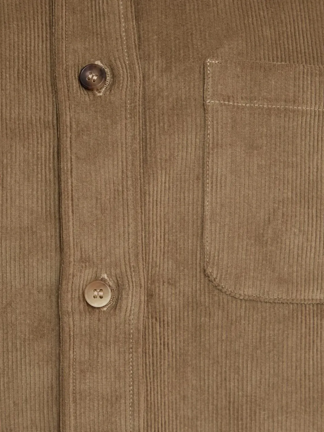 Camicia in cotone a coste Sara