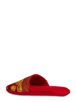 Slipper Medusa Amplified