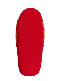 Slipper Medusa Amplified