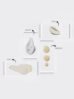 The Absolute Discovery Box