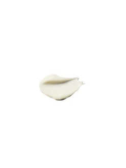 The Absolute Restoring Eye Cream Refill