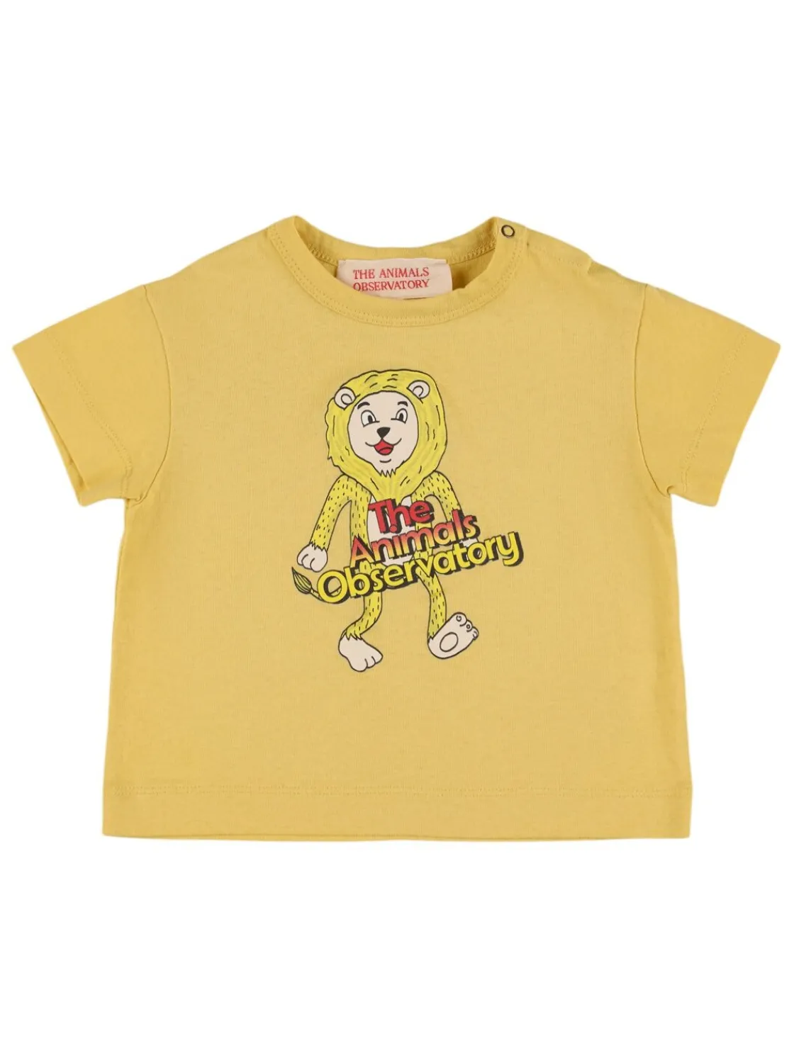 T-shirt in jersey di cotone stampato